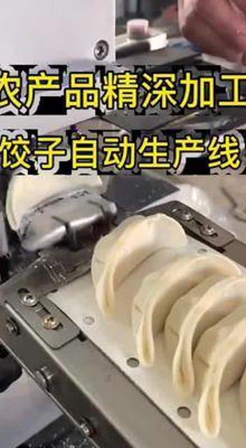 融合数字技术与精深加工 中国饺子自动生产线与矿物加工的创新实践