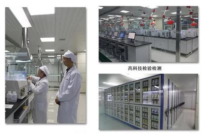 科技创新与全产业链赋能 矿物加工领域和氏集团的高质量发展突围之路