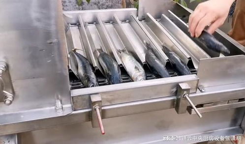 大型鱼丸加工设备 全自动渔业与矿物加工新篇章